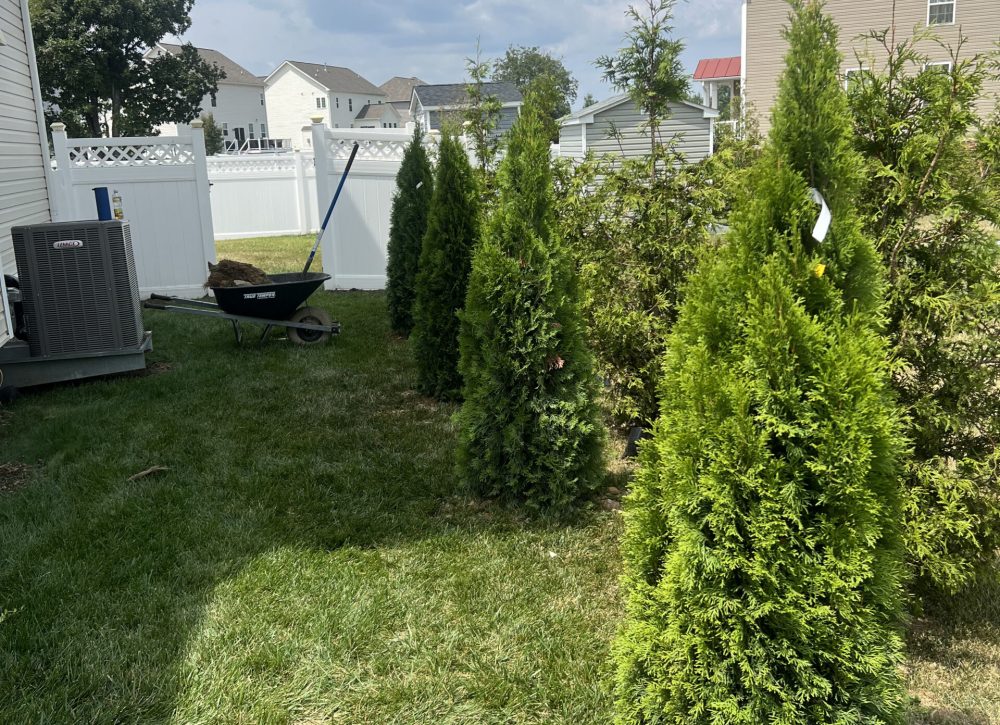 29BD15A4-2540-48AE-89D5-5466FC544B5B